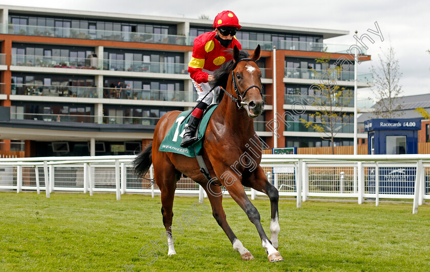 Nelson-Gay-0001 
 NELSON GAY (Shane Kelly)
Newbury 19 Jul 2020 - Pic Steven Cargill / Racingfotos.com