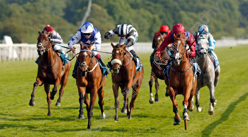 Diamond-Bay-0004 
 DIAMOND BAY (right, Daniel Tudhope) beats STATE LEGEND (left) in The Constant Security Handicap
York 16 Jun 2023 - Pic Steven Cargill / Racingfotos.com