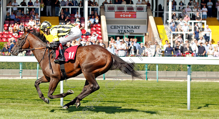 Sakheer-0003 
 SAKHEER (David Egan) wins The Auction Finance EBF Novice Stakes
Haydock 1 Sep 2022 - Pic Steven Cargill / Racingfotos.com