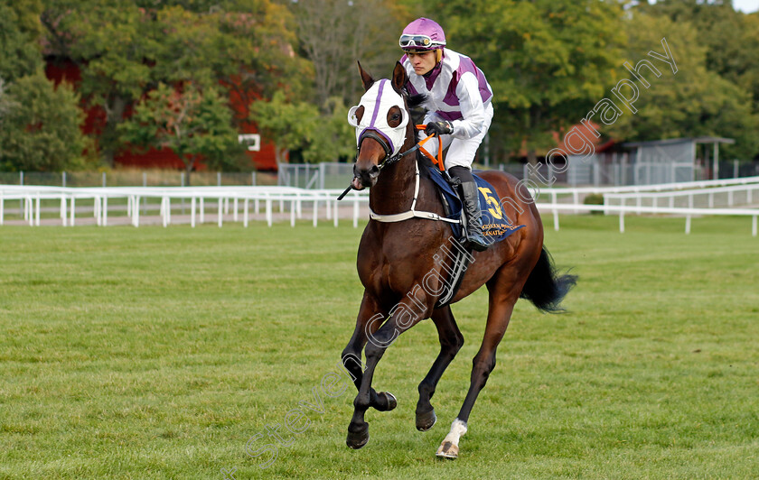 Timo-Nurmos-0001 
 TIMO NURMOS (Andreas Tapia Dalbark)
Bro Park 18 Sep 2022 - Pic Steven Cargill / Racingfotos.com