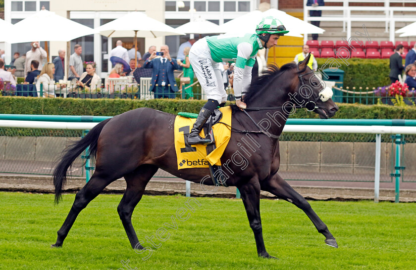 Annaf-0001 
 ANNAF (Rossa Ryan)
Haydock 7 Sep 2024 - Pic Steven Cargill / Racingfotos.com