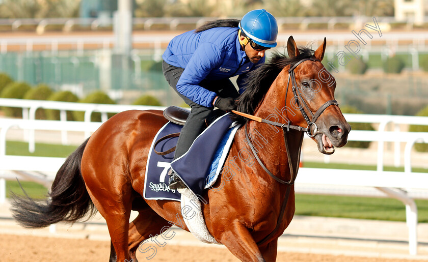 Naval-Crown-0001 
 NAVAL CROWN training for The Turf Sprint
King Abdulaziz Racetrack, Riyadh, Saudi Arabia 24 Feb 2022 - Pic Steven Cargill / Racingfotos.com