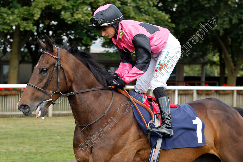 Cuban-Spirit-0001 
 CUBAN SPIRIT (Nicola Currie)
Newmarket 28 Jun 2018 - Pic Steven Cargill / Racingfotos.com