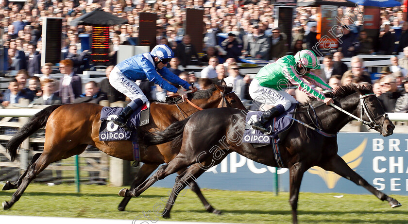 Pogo-0001 
 POGO (Oisin Murphy) wins The Qatar Racing Welfare Handicap
Newmarket 4 May 2019 - Pic Steven Cargill / Racingfotos.com