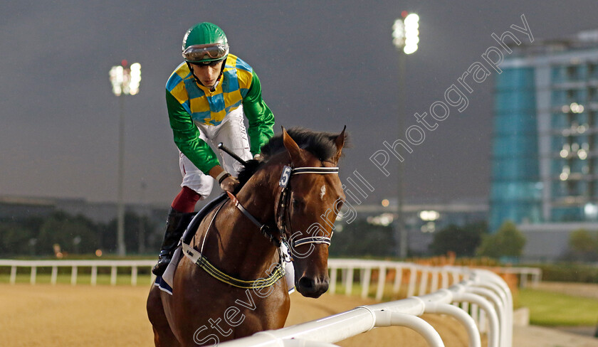 Lahresh-0006 
 LAHRESH (Antonio Fresu) winner of The Festival City Stakes
Meydan 27 Jan 2023 - Pic Steven Cargill / Racingfotos.com