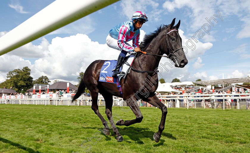 Goldenstatewarrior-0001 
 GOLDENSTATEWARRIOR (Kaiya Fraser)
York 26 Aug 2023 - Pic Steven Cargill / Racingfotos.com