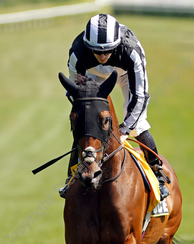 Verbier-0002 
 VERBIER (Richard Kingscote)
Newmarket 29 Jun 2024 - Pic Steven Cargill / Racingfotos.com