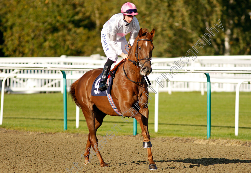 What-A-Welcome-0001 
 WHAT A WELCOME (Joey Haynes) Lingfield 5 Oct 2017 - Pic Steven Cargill / Racingfotos.com