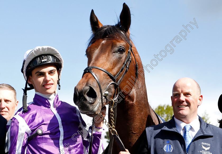 Magna-Grecia-0017 
 MAGNA GRECIA (Donnacha O'Brien) after The Qipco 2000 Guineas
Newmarket 4 May 2019 - Pic Steven Cargill / Racingfotos.com