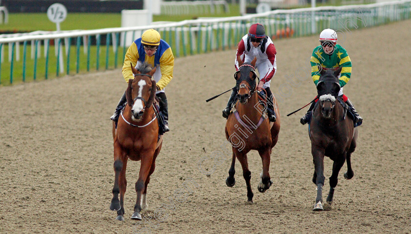 Renardeau-0003 
 RENARDEAU (left, Dylan Hogan) beats CONTINUUM (right) and ADAMS PARK (centre) in The Betway Apprentice Handicap
Lingfield 18 Dec 2019 - Pic Steven Cargill / Racingfotos.com