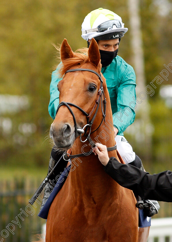 Scope-0002 
 SCOPE (Sean Levey)
Lingfield 8 May 2021 - Pic Steven Cargill / Racingfotos.com