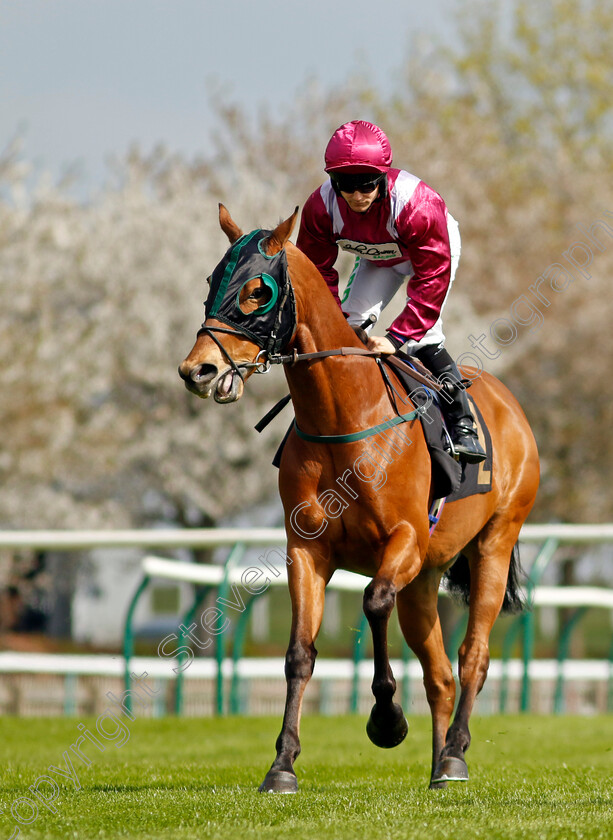 Empirestateofmind-0001 
 EMPIRESTATEOFMIND (Jason Hart)
Newmarket 18 Apr 2023 - Pic Steven Cargill / Racingfotos.com