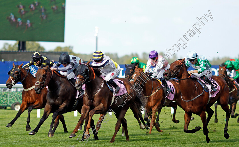 Albasheer-0005 
 ALBASHEER (centre, Hollie Doyle) beats EMPEROR SPIRIT (left) in The Whispering Angel Handicap
Ascot 27 Jul 2024 - Pic Steven Cargill / Racingfotos.com