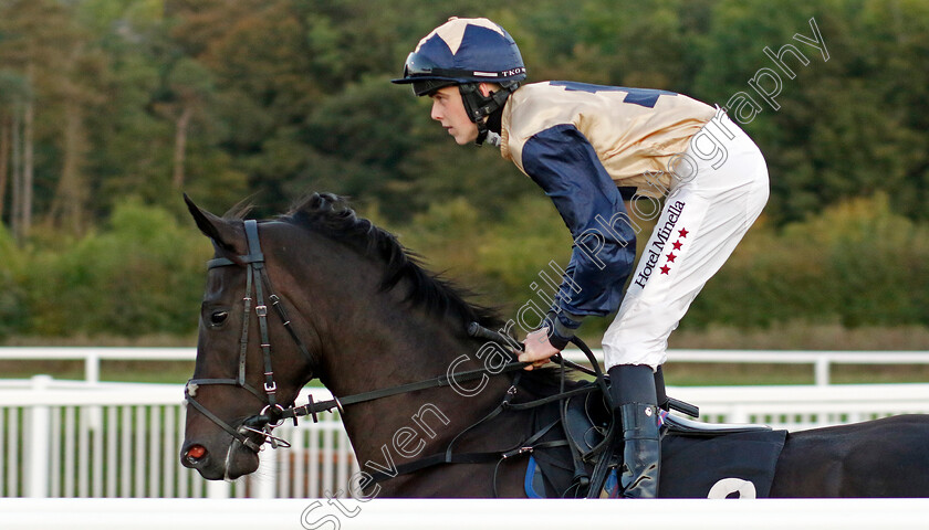 Bereit-0001 
 BEREIT (Sean Dylan Bowen)
Chelmsford 3 Oct 2024 - Pic Steven Cargill / Racingfotos.com