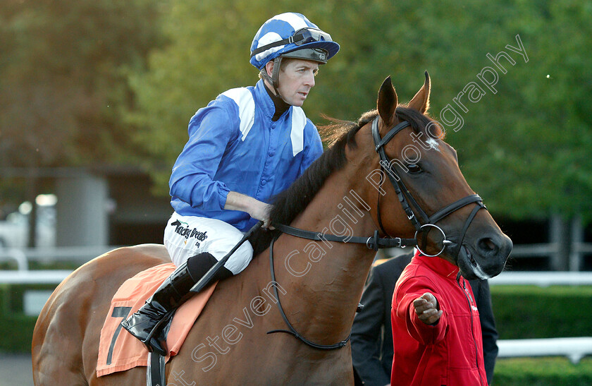 Nomoathaj-0002 
 NOMOATHAJ (Jim Crowley)
Kempton 15 Aug 2018 - Pic Steven Cargill / Racingfotos.com