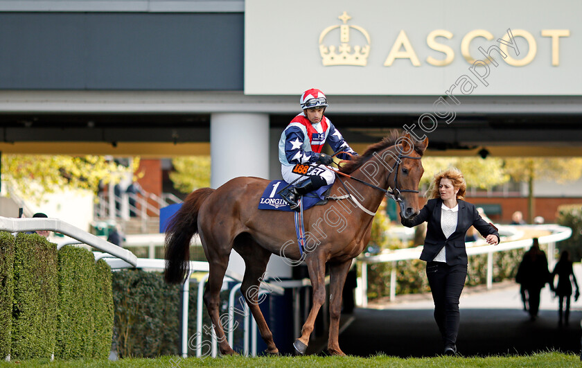 Desert-Skyline-0001 
 DESERT SKYLINE (Silvestre De Sousa) Ascot 2 May 2018 - Pic Steven Cargill / Racingfotos.com