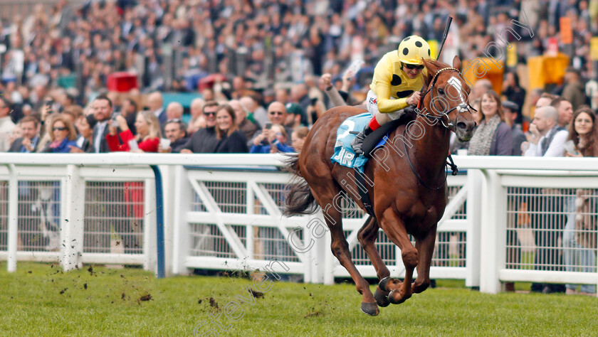 Cape-Byron-0002 
 CAPE BYRON (Andrea Atzeni) wins The John Guest Racing Bengough Stakes
Ascot 5 Oct 2019 - Pic Steven Cargill / Racingfotos.com