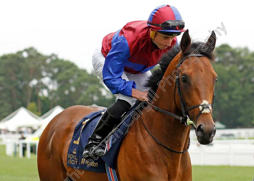 Alfred-Munnings 
 ALFRED MUNNINGS (Ryan Moore)
Royal Ascot 18 Jun 2022 - Pic Steven Cargill / Racingfotos.com