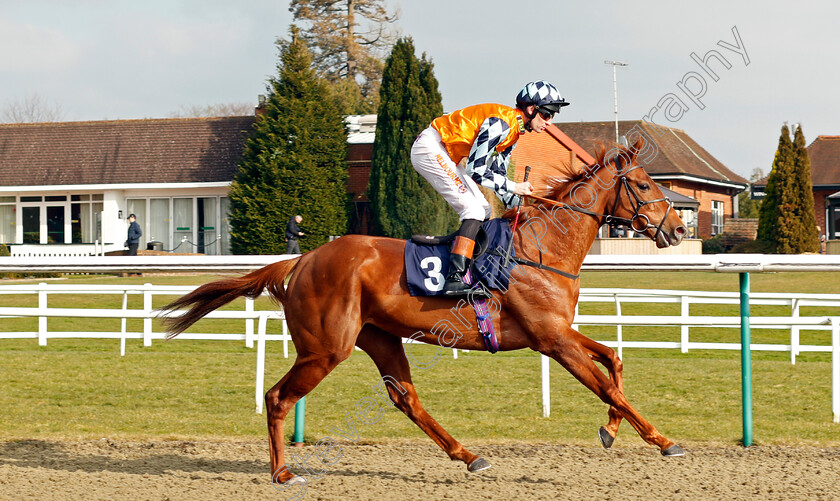 Laytown-0001 
 LAYTOWN (Dougie Costello) Lingfield 23 Feb 2018 - Pic Steven Cargill / Racingfotos.com