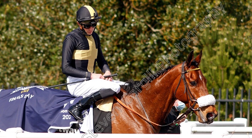 Ranch-Hand-0006 
 RANCH HAND (James Doyle) after The Betway All-weather Marathon Championships Conditions Stakes
Lingfield 2 Apr 2021 - Pic Steven Cargill / Racingfotos.com