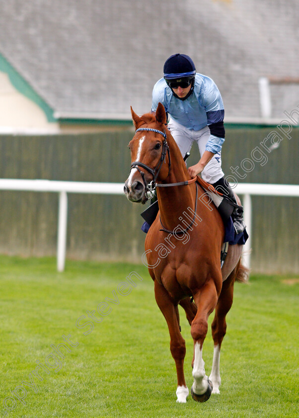 Nicklaus-0001 
 NICKLAUS (Tom Marquand) before winning The attheraces.com Handicap
Yarmouth 16 Sep 2020 - Pic Steven Cargill / Racingfotos.com