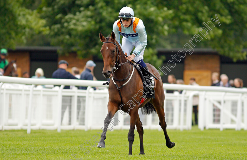 Misty-Ayr-0001 
 MISTY AYR (Callum Rodriguez)
Salisbury 2 Sep 2021 - Pic Steven Cargill / Racingfotos.com