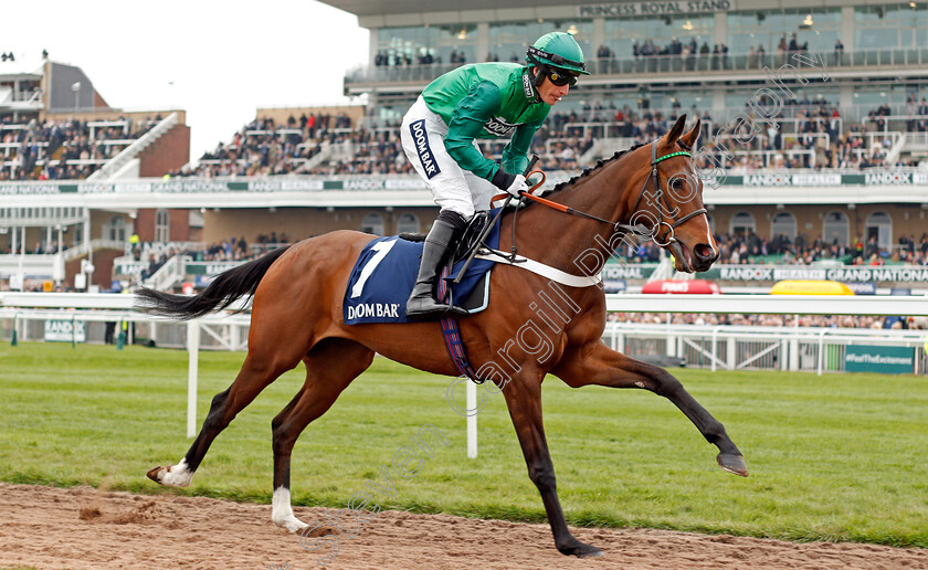 We-Have-A-Dream-0001 
 WE HAVE A DREAM (Daryl Jacob) before The Doom Bar Anniversary 4yo Juvenile Hurdle Aintree 12 Apr 2018 - Pic Steven Cargill / Racingfotos.com