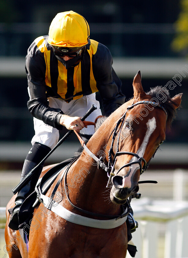 Whenthedealinsdone-0001 
 WHENTHEDEALINSDONE (Jason Watson) before winning The British Stallion Studs EBF Maiden Stakes
Newbury 18 Sep 2020 - Pic Steven Cargill / Racingfotos.com