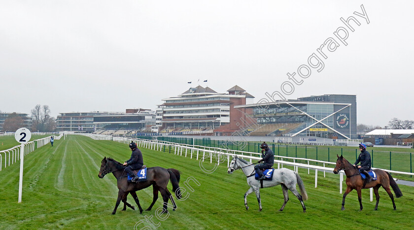 Only-Way-Is-Up,-Lac-De-Constance-and-Heltenham-0001 
 Dan Skelton horses, ONLY WAY IS UP (4) LAC DE CONSTANCE (2) and HELTENHAM (1)
Coral Gold Cup gallops morning Newbury 19 Nov 20234 - Pic Steven Cargill / Racingfotos.com