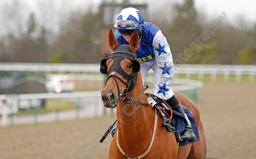 Petite-Jack-0002 
 PETITE JACK (Luke Morris) Lingfield 3 Feb 2018 - Pic Steven Cargill / Racingfotos.com