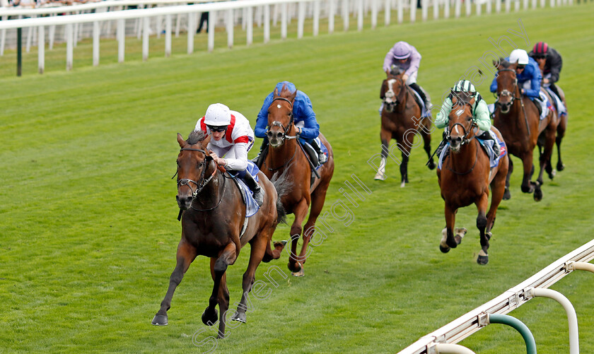 Deauville-Legend-0002 
 DEAUVILLE LEGEND (Daniel Muscutt) wins The Sky Bet Great Voltigeur Stakes
York 17 Aug 2022 - Pic Steven Cargill / Racingfotos.com