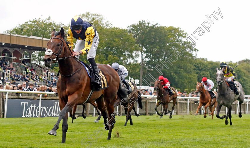 Validated-0003 
 VALIDATED (James Doyle) wins The Federation Of Bloodstock Agents Handicap
Newmarket 12 Jul 2024 - pic Steven Cargill / Racingfotos.com