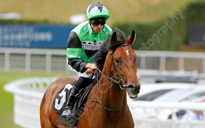 Galeron 
 GALERON (Kieran Shoemark)
Goodwood 26 Jul 2022 - Pic Steven Cargill / Racingfotos.com