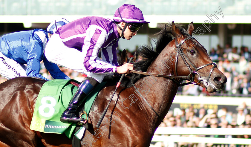 Ten-Sovereigns-0008 
 TEN SOVEREIGNS (Donnacha O'Briens) wins The Juddmonte Middle Park Stakes
Newmarket 29 Sep 2018 - Pic Steven Cargill / Racingfotos.com