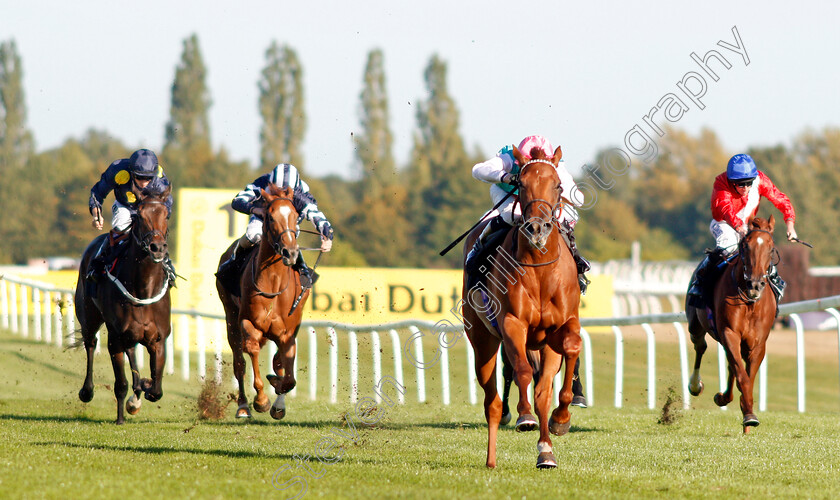 Quadrilateral-0004 
 QUADRILATERAL (Jason Watson) wins The Dubai Duty Free Full Of Surprises British EBF Fillies Conditions Stakes
Newbury 20 Sep 2019 - Pic Steven Cargill / Racingfotos.com