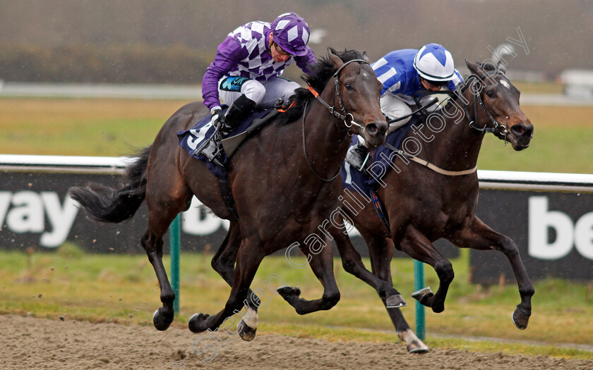 Vice-Marshal-0004 
 VICE MARSHAL (left, Stevie Donohoe) beats FELISA (right) in The Play For Free At sunbets.co.uk/vegas Handicap Lingfield 3 Feb 2018 - Pic Steven Cargill / Racingfotos.com