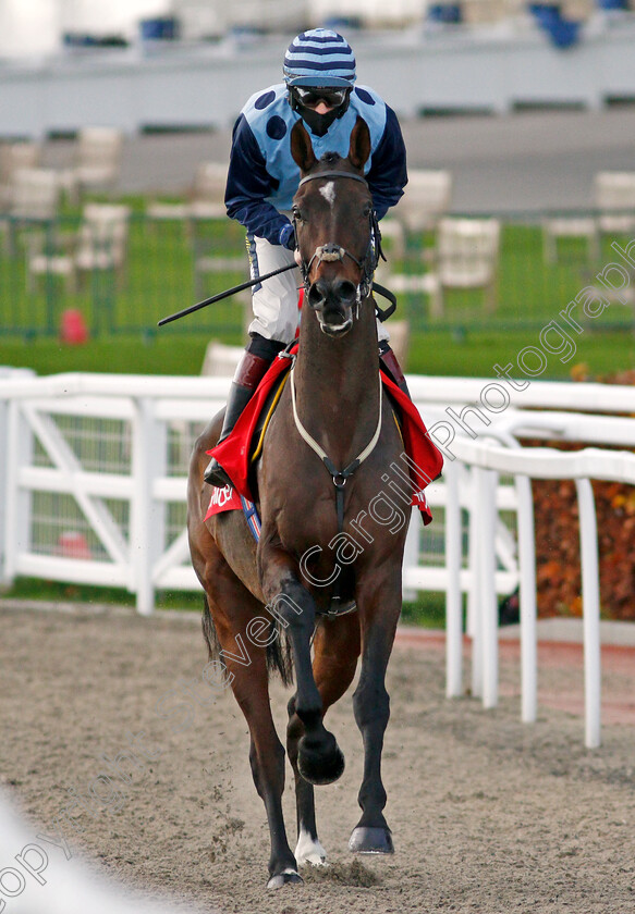 Riders-Onthe-Storm-0001 
 RIDERS ONTHE STORM (Sam Twiston-Davies)
Cheltenham 15 Nov 2020 - Pic Steven Cargill / Racingfotos.com