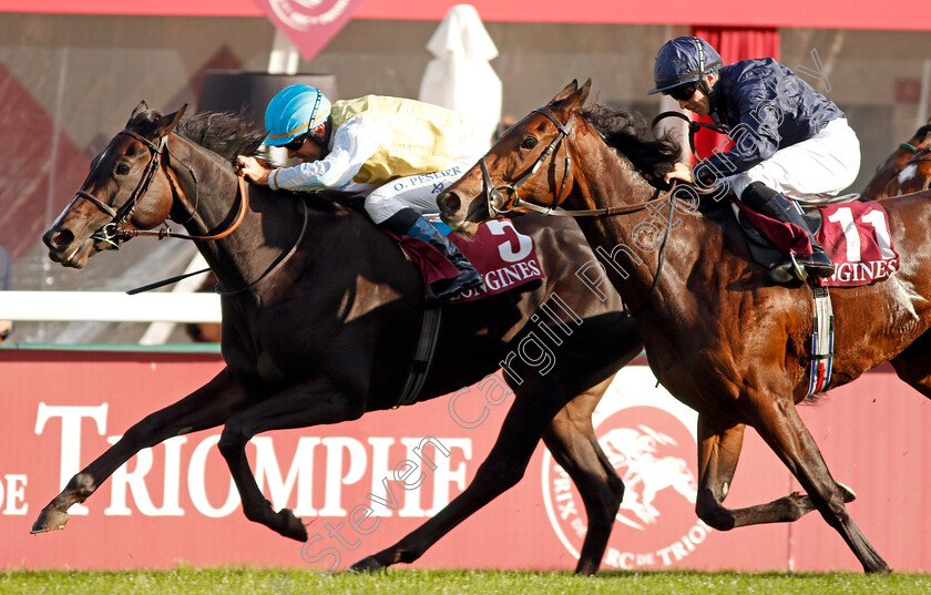 Villa-Marina-0005 
 VILLA MARINA (Olivier Peslier) beats FLEETING (right) in The Prix de l'Opera
Longchamp 6 Oct 2019 - Pic Steven Cargill / Racingfotos.com