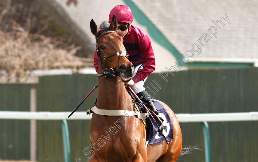 Mazmerize-0001 
 MAZMERIZE (Stevie Donohoe)
Yarmouth 23 Apr 2019 - Pic Steven Cargill / Racingfotos.com