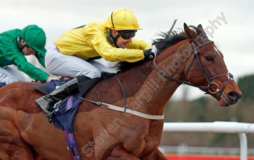 Summer-Icon-0008 
 SUMMER ICON (Charles Bishop) wins The 32Red.com Fillies Conditions Stakes Wolverhampton 4 Jan 2017 - Pic Steven Cargill / Racingfotos.com