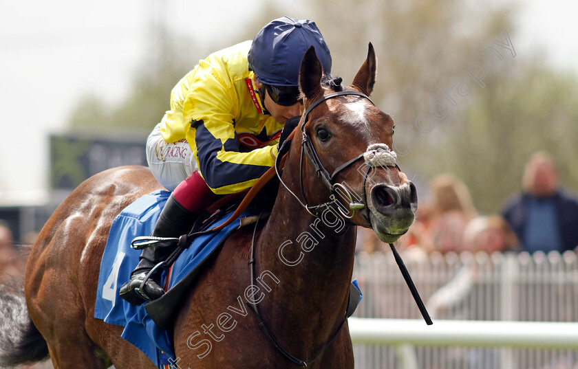 Spanish-Phoenix-0004 
 SPANISH PHOENIX (Oisin Murphy) wins The Atlantic Pale Ale Maiden Stakes
Leicester 29 Apr 2023 - Pic Steven Cargill / Racingfotos.com