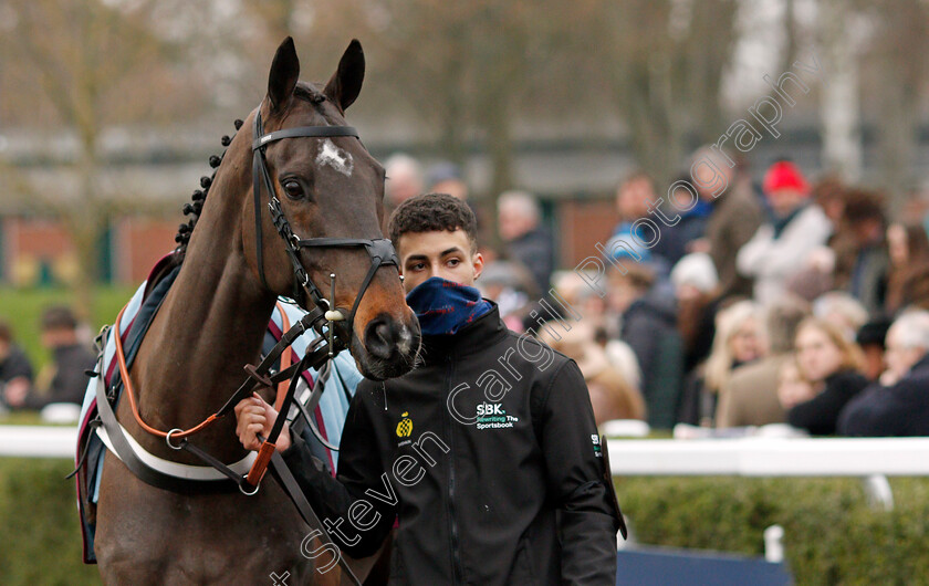 Shishkin-0008 
 SHISHKIN before The SBK Clarence House Chase
Ascot 22 Jan 2022 - Pic Steven Cargill / Racingfotos.com