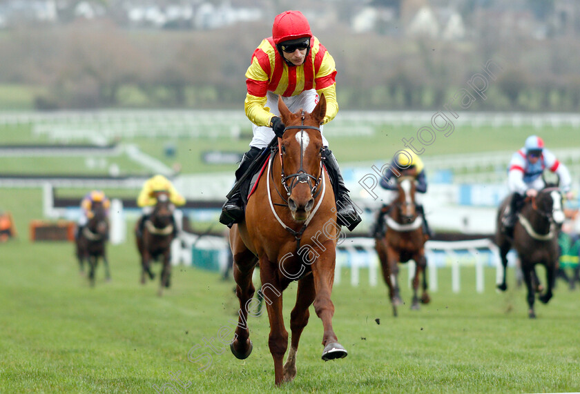 Jarveys-Plate-0007 
 JARVEYS PLATE (Paddy Brennan) wins The Ballymore Novices Hurdle
Cheltenham 1 Jan 2019 - Pic Steven Cargill / Racingfotos.com