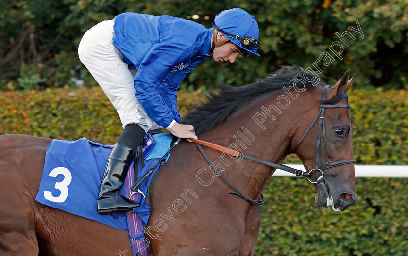 First-View-0002 
 FIRST VIEW (Hector Crouch) winner of The 32Red Casino EBF Novice Stakes
Kempton 2 Oct 2019 - Pic Steven Cargill / Racingfotos.com