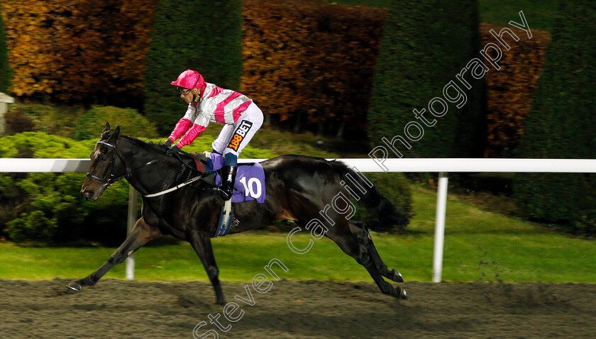 Entangling-0002 
 ENTANGLING (Silvestre De Sousa) wins The 32Red.com Handicap Kempton 22 Nov 2017 - Pic Steven Cargill / Racingfotos.com