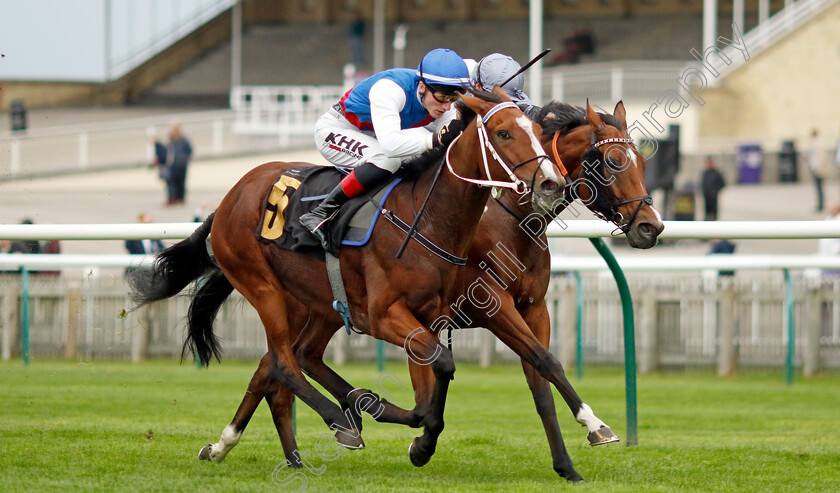 First-Officer-0002 
 FIRST OFFICER (David Egan) wins The Newmarket Challenge Whip
Newmarket 28 Sep 2023 - Pic Steven Cargill / Racingfotos.com