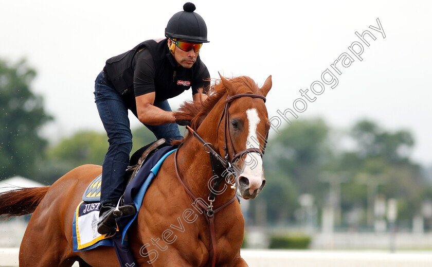 Justify-0014 
 JUSTIFY (Martine Garcia) exercising in preparation for The Belmont Stakes
Belmont Park USA 7 Jun 2018 - Pic Steven Cargill / Racingfotos.com