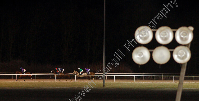 Nelson-River-0003 
 Racing during The Betway Apprentice Handicap won by NELSON RIVER (5, Elisha Whittington)
Wolverhampton 7 Jan 2021 - Pic Steven Cargill / Racingfotos.com