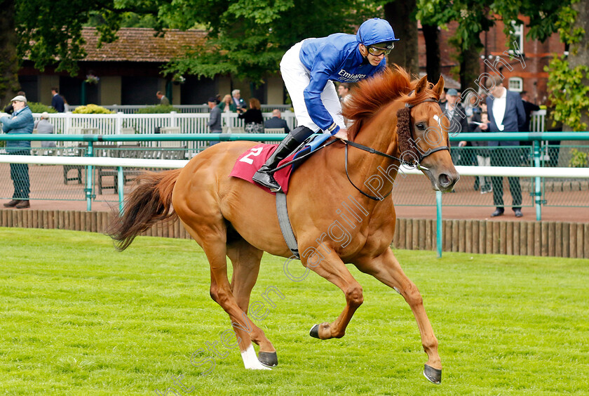 Bandinelli 
 BANDINELLI (James Doyle)
Haydock 21 May 2022 - Pic Steven Cargill / Racingfotos.com