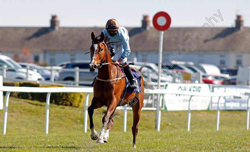 Dereham-0002 
 DEREHAM (Thore Hammer Hansen) winner of The Quinnbet 25% Back As A Free Bet Handicap Div2
Yarmouth 19 May 2021 - Pic Steven Cargill / Racingfotos.com